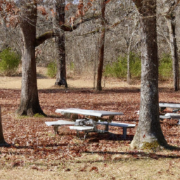 bj's picnic table