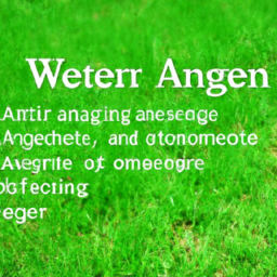 Wetting Agent Definition