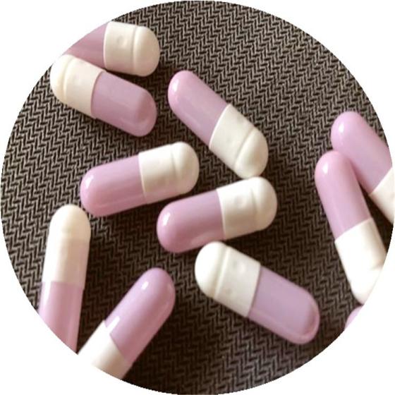 Empty Pullilan Capsules Empty Gelatin Capsule Shell Quick Dissolving Empthard Gelatin Empty Capsule