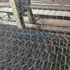 Hexagonal Wire Netting