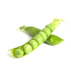 pea protein price