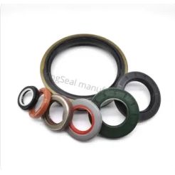 Oil Seal