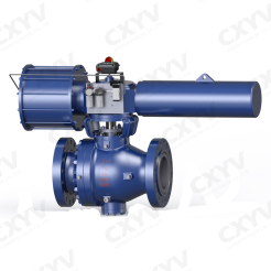 API6D 2 Piece Trunnion Mounted Ball Valve